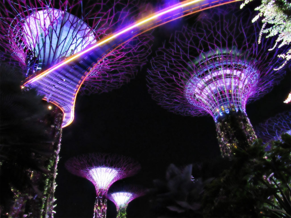 super trees at night popular area of singapore