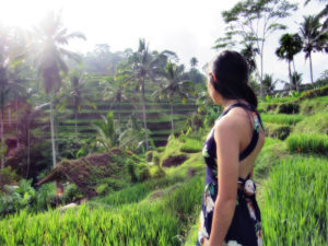 Read more about the article Planning a Day in Bali