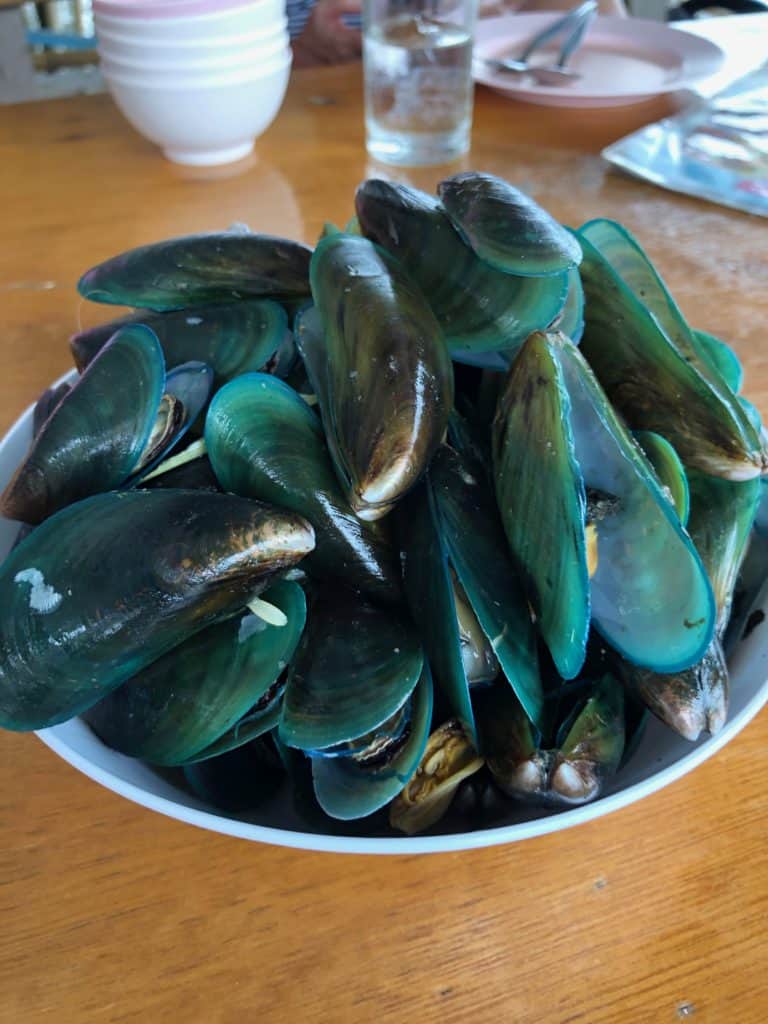 mussels from the mangrove forest in bangkok