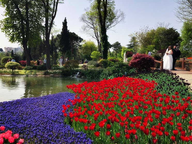 Emirgan park Tulip Festival
romantic places in Istanbul