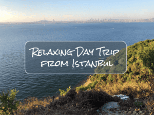 Read more about the article Relaxing Day Trip to Princes Island from Istanbul